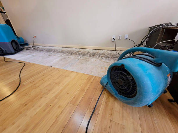 Professional Emergency Water Damage technician working in Bedford, OH